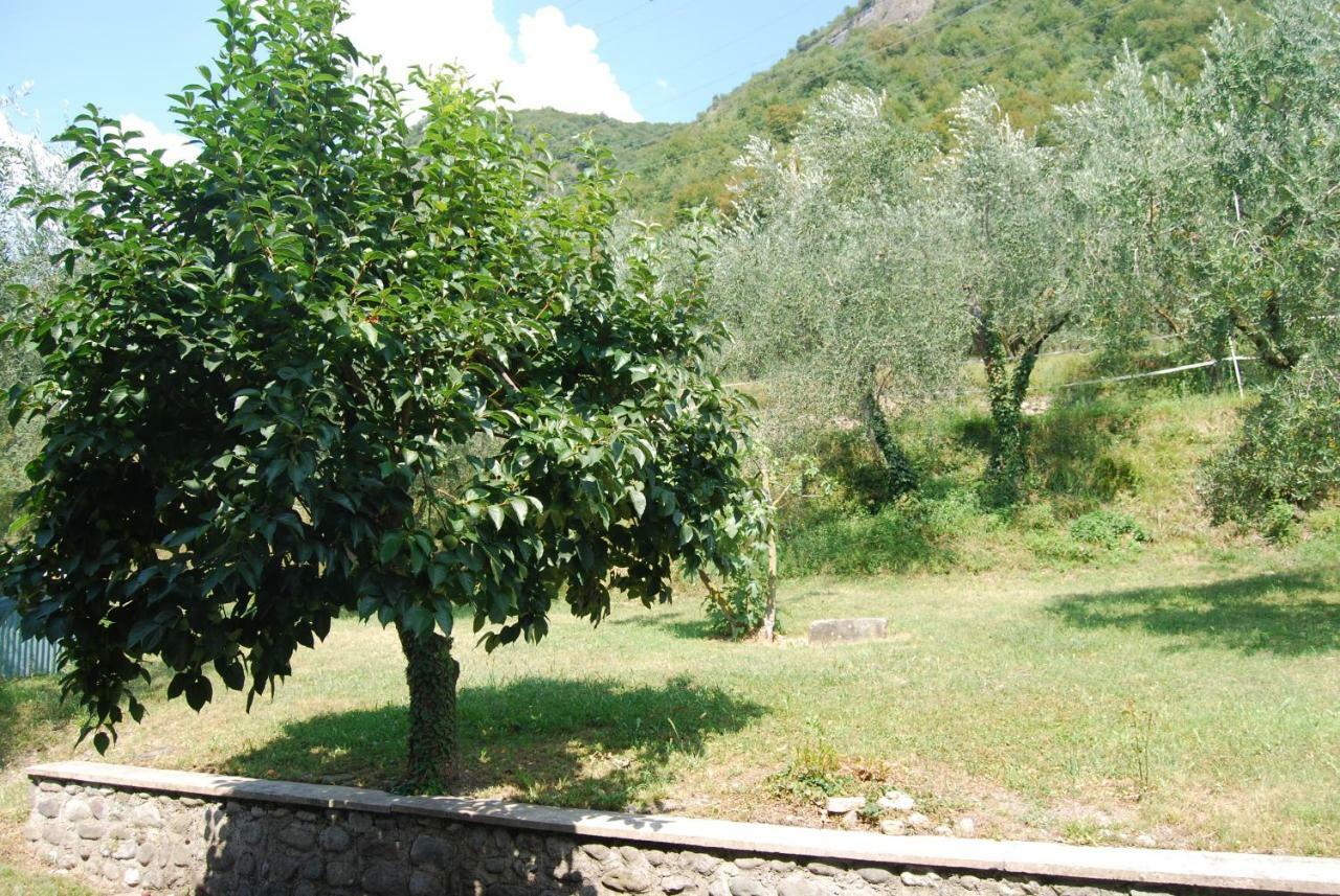 Agriturismo Cascina Bissiniga ซาโล ภายนอก รูปภาพ
